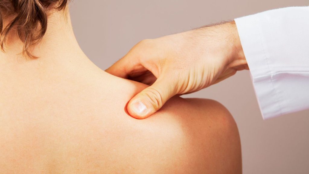 Perfectionnement niveau expert –  CURSUS 2