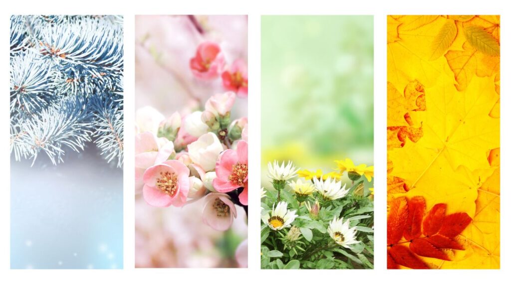 Les saisons et la médecine chinoise : adapter sa santé au rythme du temps